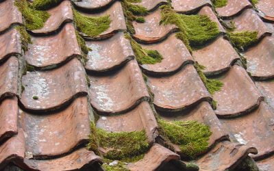 How To Clean Your Roof