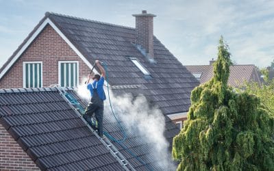 Roof Cleaning Tips to Keep Your Home Looking Fresh and Damage-Free